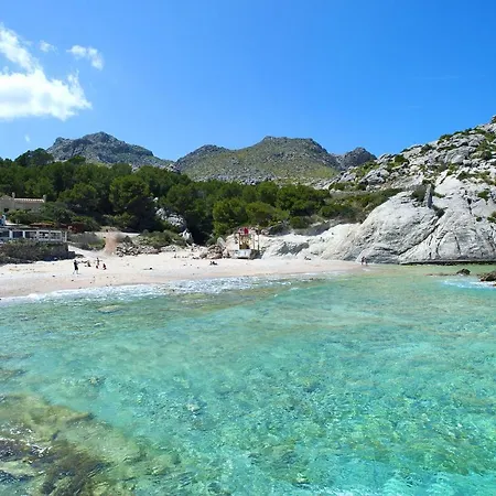 Owl Moragues - Surrounded By Nature