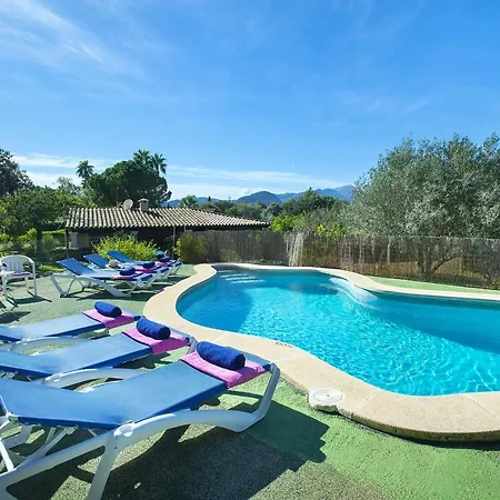 Owl Moragues - Surrounded By Nature Port de Pollenca