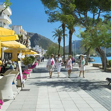 Owl Moragues - Surrounded By Nature