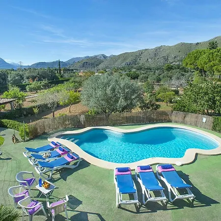 Owl Moragues - Surrounded By Nature * Port de Pollenca