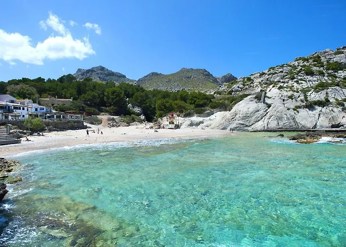 Owl Moragues - Surrounded By Nature