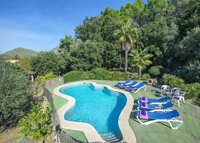 Owl Moragues - Surrounded By Nature * Port de Pollença