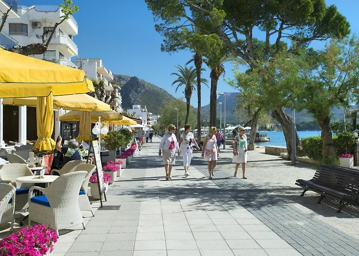 Owl Moragues - Surrounded By Nature