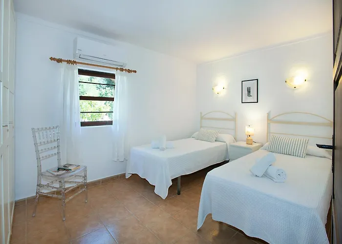 Owl Moragues - Surrounded By Nature *