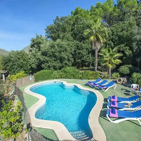 Owl Moragues - Surrounded By Nature * Поланко