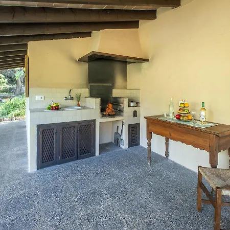 Owl Moragues - Surrounded By Nature